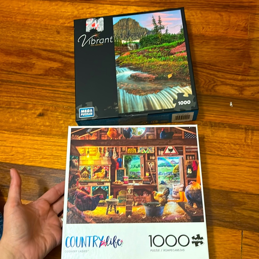 Set of 2 Puzzles - 1000pcs
